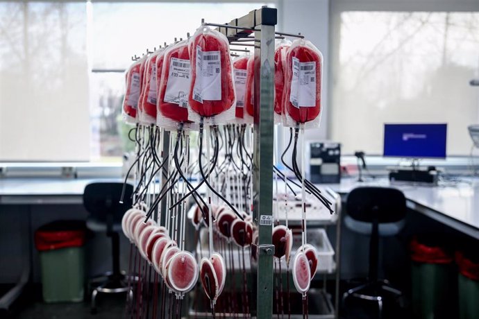 Archivo - Bolsas de sangre en el laboratorio del centro de Transfusión de Valdebernardo, en Madrid (España).