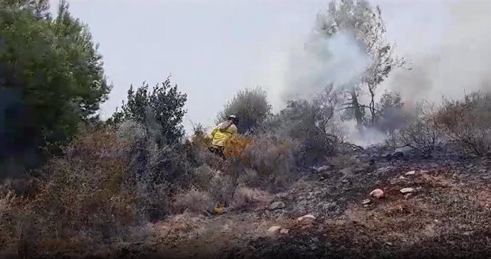 Bomberos del Infoca trabajan en un incendio forestal en Ojén