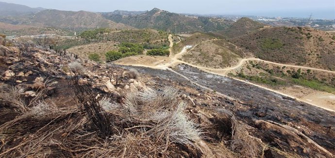 Paraje de Ojén afectado por un incendio forestal