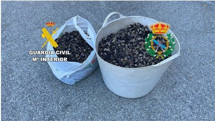 Percebes incautados en Ferrol
