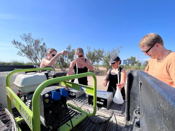 La rana toro se erradicará en el Delta de l'Ebre (Tarragona) si en 2024 no se vuelve a detectar