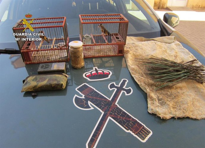 La Guardia Civil Sorprende A Un Furtivo De Jilgueros En Caravaca De La Cruz