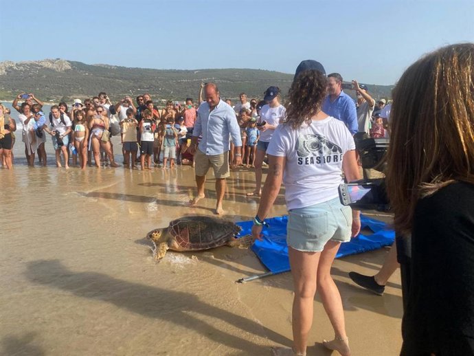 Devuelven a cinco tortugas recuperadas a su medio natural en la playa de Bolonia