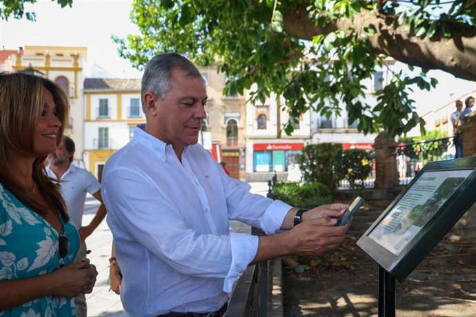 El emblemático ficus de la plaza del Altozano incorpora su señalización especial