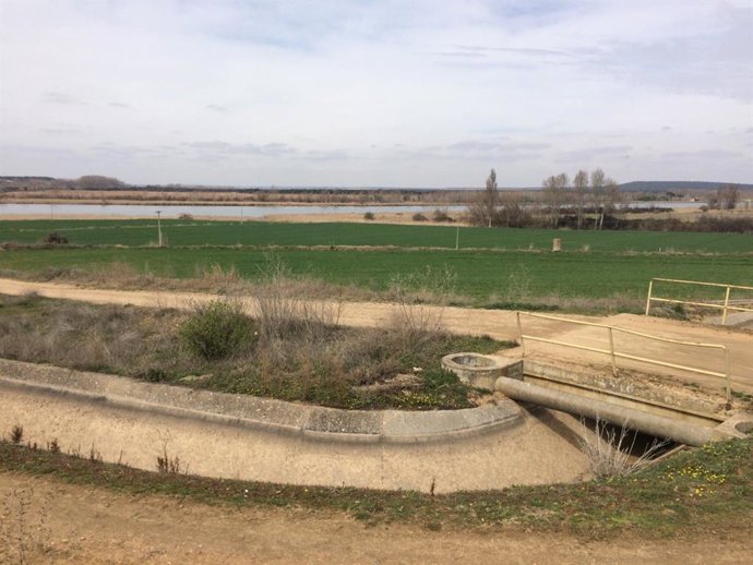 Obras en la Comunidad de Regantes de Castronuño.