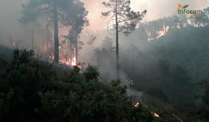 Labores de extinción del incendio de Bogarra.
