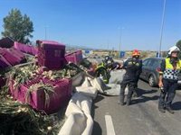 Herido leve tras la salida de vía de un camión cargado de verduras en Majadahonda