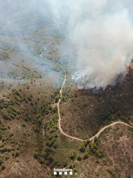 Arxiu - El segon incendi de Tivissa (Tarragona) a la zona de la Toa