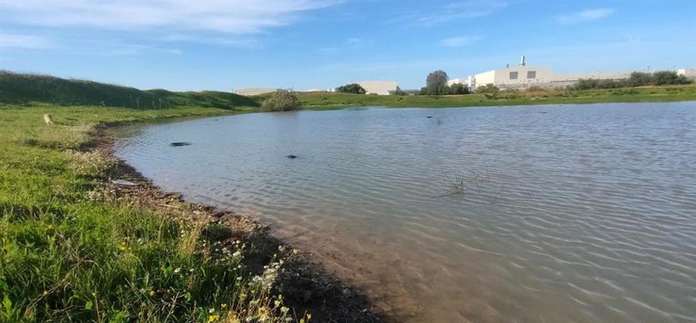 Ecologistas en Acción critica que la Junta "no reconozca" los valores de los humedales del Este de Sevilla.
