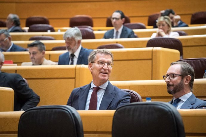 Archivo - El presidente del PP, Alberto Núñez Feijóo (i) y el portavoz del Partido Popular en el Senado, Javier Maroto (d), durante una sesión plenaria en el Senado, a 17 de mayo de 2023, en Madrid (España). El proyecto de Ley por el Derecho a la Vivien