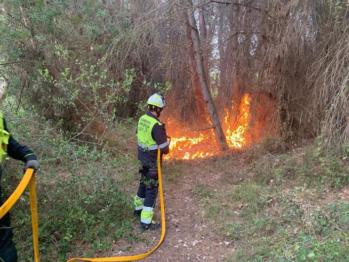 Bomberos extinguen un conato de incendio en la Devesa