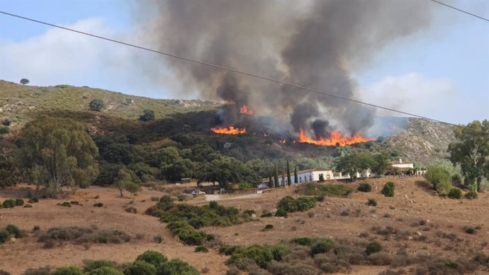Imagen del incendio forestal declarado en el paraje Sierra Carbonera de San Roque (Cádiz).