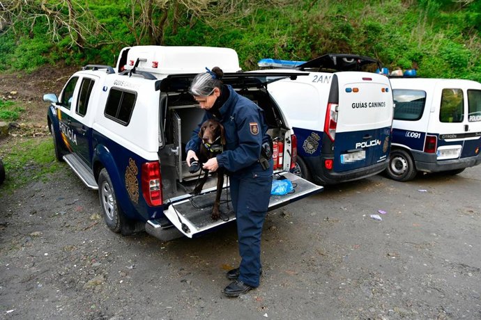 Archivo - Un perro de la Unidad Canina de Rescate baja de un furgón para participar en la búsqueda de la desaparición del joven de 17 años, Mohamed Ali, a 1 de febrero de 2023, en Ceuta (España). Desde primera hora de la mañana de hoy, la Unidad Canina 