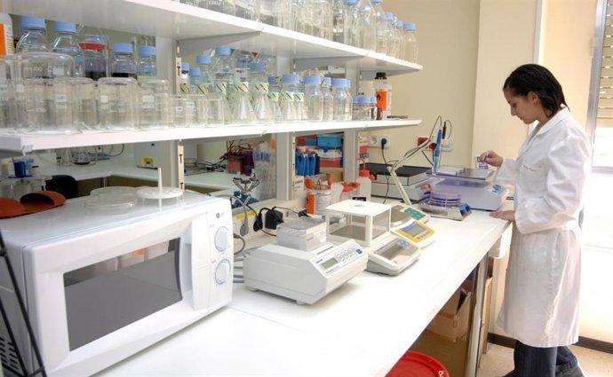 Los cerca de 80 grupos de investigación adscritos al Idiscam se dividirán en cinco comunidades temáticas.