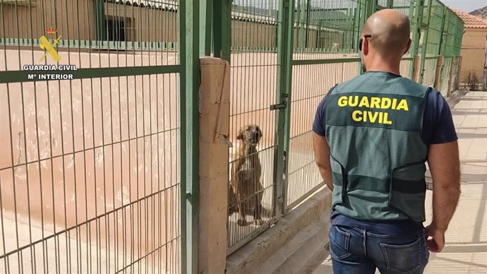 Nota De Prensa Guardia Civil: Op Dogs Rescue