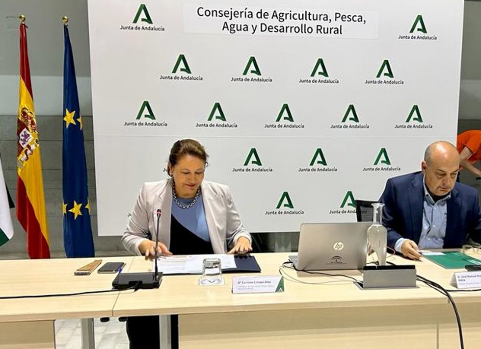 UE.- Crespo incide en que "las ayudas por el no acuerdo con Marruecos no excluyan a Andalucía"