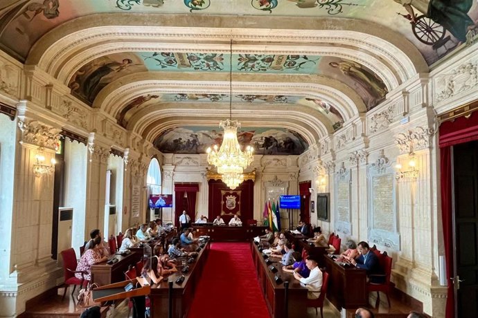 Pleno extraordinario del Ayuntamiento de Málaga