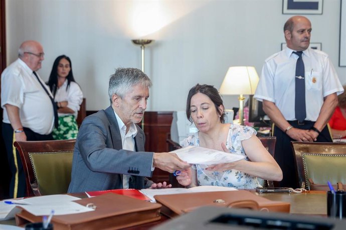 El ministro del Interior en funciones, Fernando Grande-Marlaska, acude a presentar sus credenciales en el Congreso de los Diputados