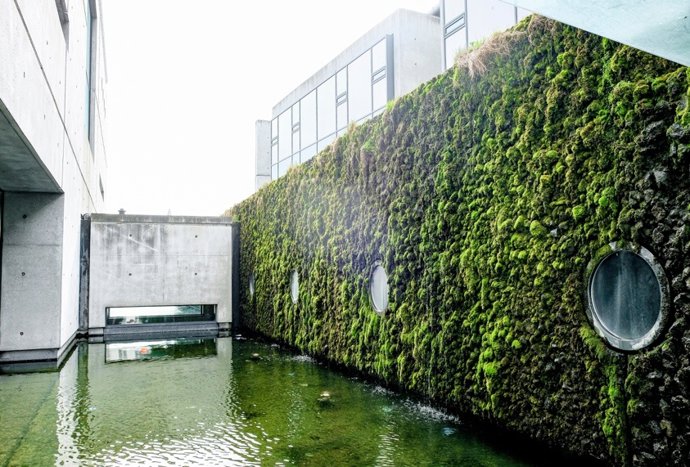 Artículo sobre 'pandemia ambiental' de expertos del CSIC