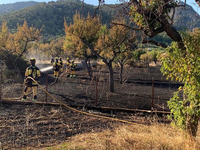 Bomberos de Mallorca e Ibanat sofocan un incendio agrícola en la carretera de Selva a Caimari