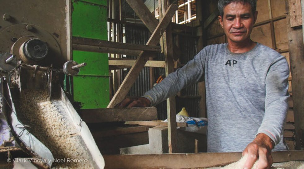 Marcial Fuyunan, usando el molino que separa la cáscara de arroz