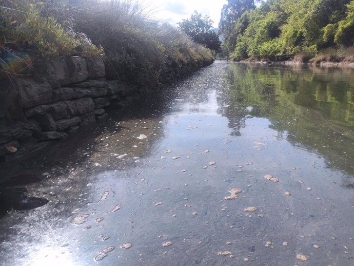Contaminación en el Río Sebrayo, que desemboca en la Ría de Villaviciosa
