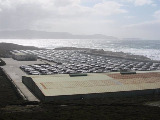 Archivo - Acuicultura, Stolt Sea Farm, acuícola, costa, Galicia, Camariñas, cabo Vilán