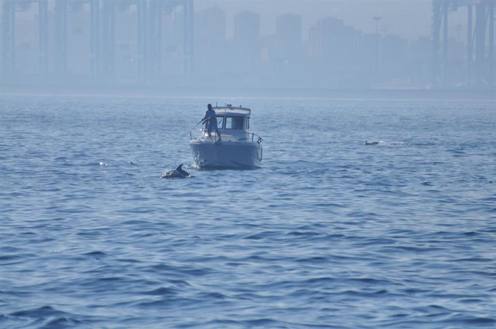 Pesca deportiva en la Bahía de Algeciras