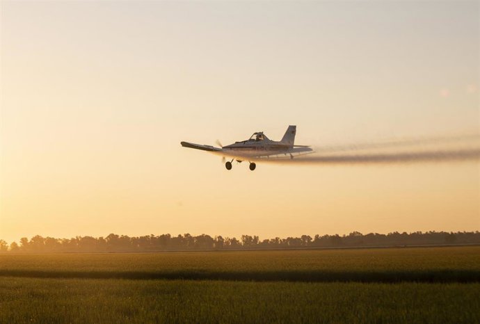 Archivo - Imagen de archivo de una avioneta