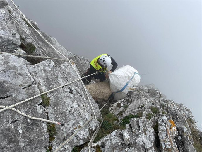 Rescate de una oveja enriscada a 20 metros de altura en Cillorigo de Liébana