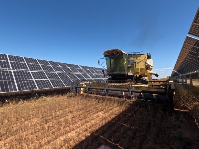 Cosechadora en la planta solar de Las Corchas