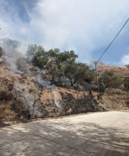 Incendios forestal ya controlado en la barriada la Jarazmín, en El Palo, en Málaga capital