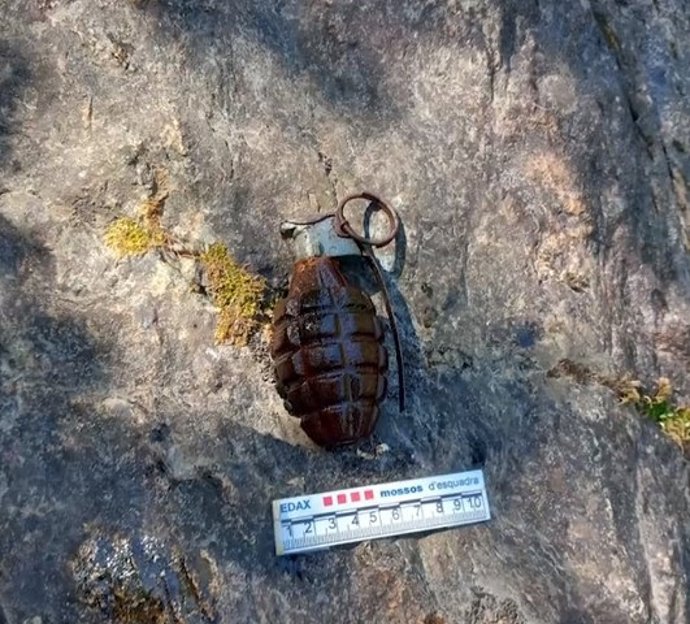 Imagen de la granada