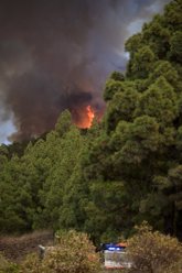 Foto: El fuego de Arafo (Tenerife) afecta a unas 800 hectáreas y sigue provocando la evacuación de viviendas