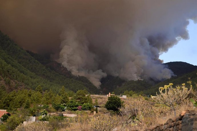 Humo provocado por un incendio forestal, a 16 de agosto de 2023, en Tenerife (España). Anoche se declaró un incendio forestal en Tenerife entre las localidades de Candelaria y Arafo. Lo que ha obligado a evacuar los municipios de Arrate, Chivisaye, Medi