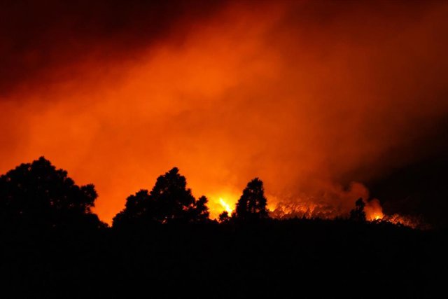 Flames in the vicinity of the municipality of Afaro, on August 17, 2023, in Afaro, Tenerife, Canary Islands (Spain).  The forest fire declared in the mountain area in Arafo is located "out of control" when it has been active for almost a day, time in which