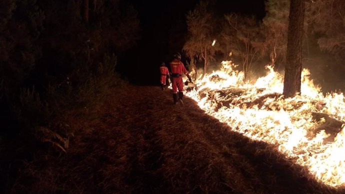 Efectivos de la UME trabajando en el incendio forestal de Arafo (Tenerife)