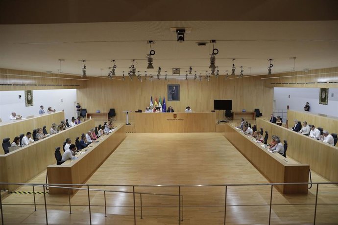 Un momento de la sesión plenaria extraordinaria.