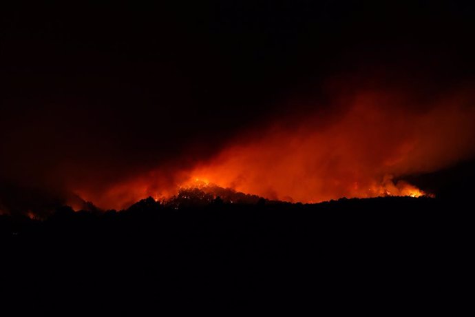 Llamas en las inmediaciones del municipio de Afaro, a 17 de agosto de 2023, en Afaro, Tenerife, Canarias (España). El incendio forestal declarado en la zona de monte en Arafo se encuentra "fuera de control" cuando lleva casi un día activo, tiempo en el qu