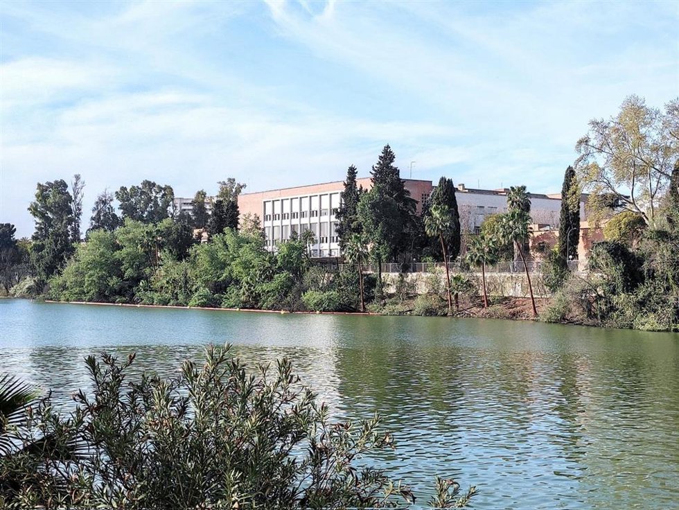 Archivo - Imagen de archivo de las tareas de desbroce en la ribera del río en Altadis (Sevilla).