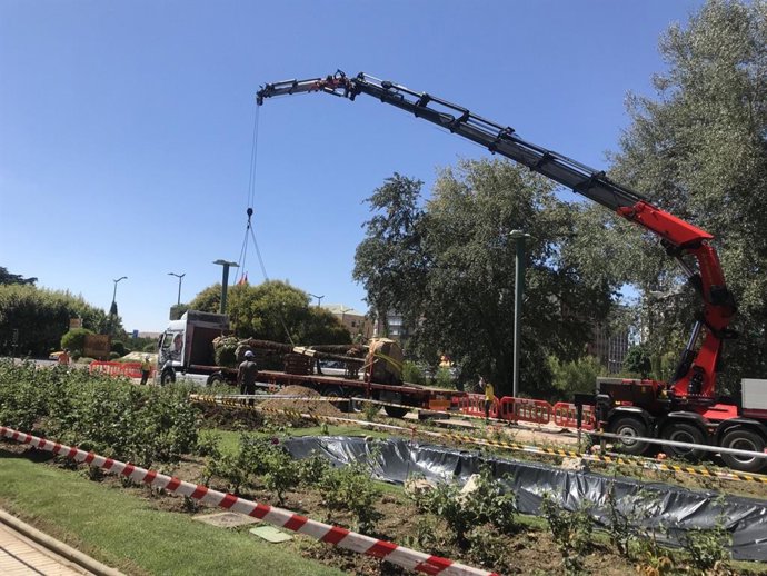 El Ayuntamiento de León replanta en el Paseo de la Condesa las palmeras donadas a la ciudad por Valle Folgueral .
