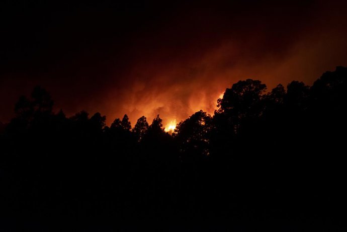 Llamas en las inmediaciones del municipio de Afaro, a 17 de agosto de 2023, en Afaro, Tenerife, Canarias (España). 