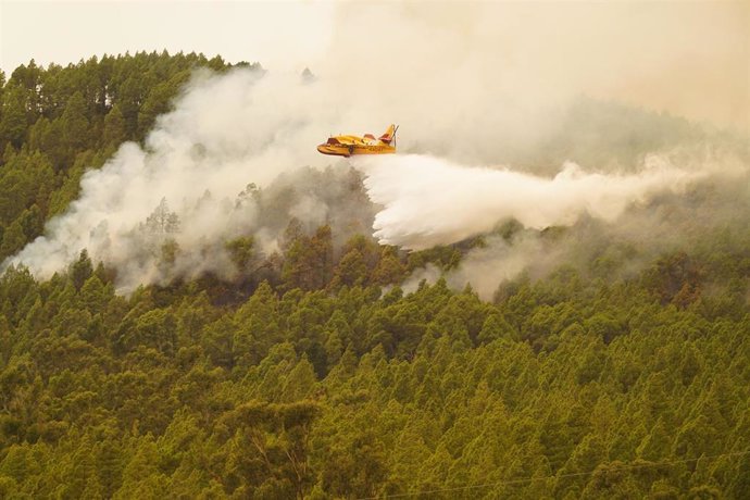 Un hidroavión lanza agua sobre el incendio forestal en las inmediaciones del municipio de El Rosario, a 17 de agosto de 2023, en Tenerife, Santa Cruz de Tenerife,  Canarias (España). El incendio forestal declarado en la zona de monte en Arafo se encuent