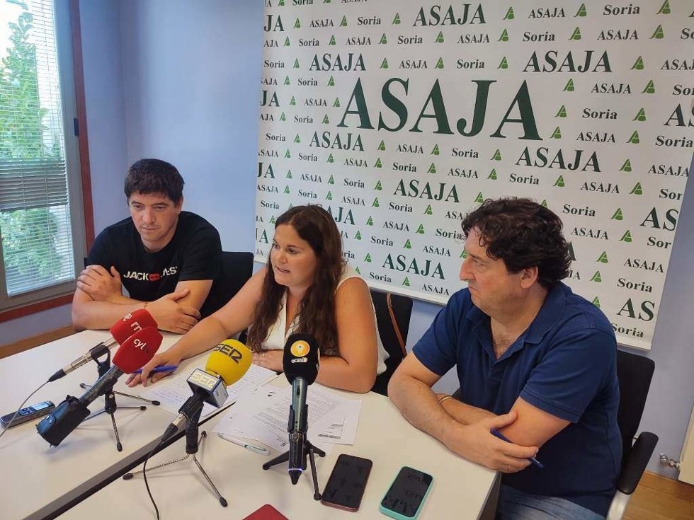 La presidenta de Asaja Soria, Ana Pastor, en rueda de prensa.