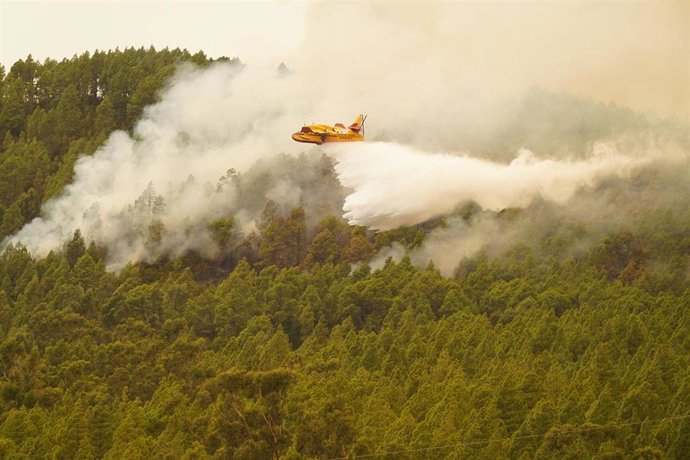 Un hidroavión lanza agua sobre el incendio forestal en las inmediaciones del municipio de El Rosario, a 17 de agosto de 2023, en Tenerife, Santa Cruz de Tenerife,  Canarias (España).
