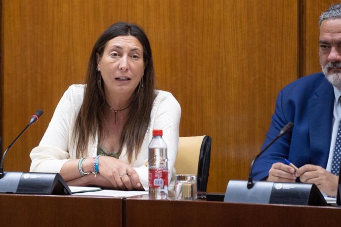 Archivo - La consejera de Inclusión Social, Loles López, en una imagen de archivo en una comparecencia en comisión.