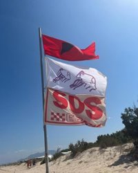 Oliva cierra al baño la playa Rabdells por la presencia de una tintorera