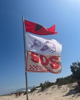Oliva (Valencia) cierra al baño la playa Rabdells por la presencia de una tintorera