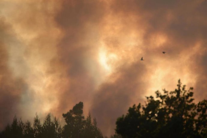 Humo provocado por un incendio forestal en la parroquia de Belesar, a 6 de agosto de 2023, en Vilalba, Lugo, Galicia (España). Varios medios de extinción, terrestres y aéreos, fueron movilizados en la noche del domingo 6 de agosto a este lunes 7 por un 