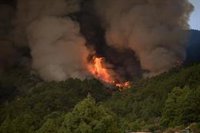 El incendio de Tenerife sigue fuera de control y afecta ya a 3.273 hectáreas